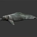 Green Dolphin-like Marine Creature with Long Snout and Streamlined Body on Dark Reflective Surface