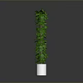 Tall Green Plant in White Pot with Gray Gradient Background