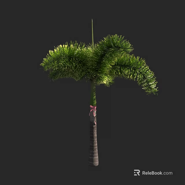 Lush Green Palm Tree With Feathery Fronds Dark Trunk And Pink Ribbon Decoration 3d model 