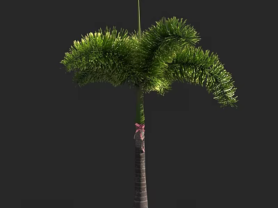 Lush Green Palm Tree With Feathery Fronds Dark Trunk And Pink Ribbon Decoration 3d model