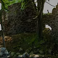 Ancient Stone Ruins Surrounded By Wooden Trees And Moss Covered Stones