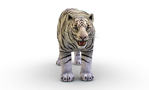 Modern Tiger Cartoon Tiger Siberian Tiger 3d model