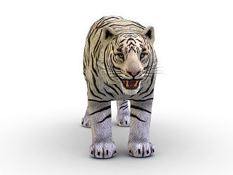 Modern Tiger Cartoon Tiger Siberian Tiger 3d model