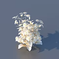 Elegant White Floral Arrangement With Leaves On Gray Background And Shadow