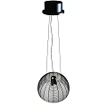 Modern Spherical Pendant Light With Black Metal Wire Frame For Interior Decoration 3d model