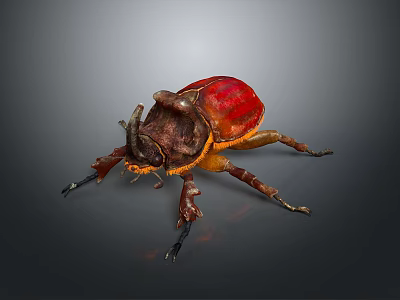 Red and Brown Beetle with Large Horns and Black Legs on Gray Background 3d model