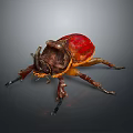 Red and Brown Beetle with Large Horns and Black Legs on Gray Background