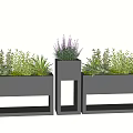 Modern Black Geometric Planters With Mixed Green Plants And Purple Flowers