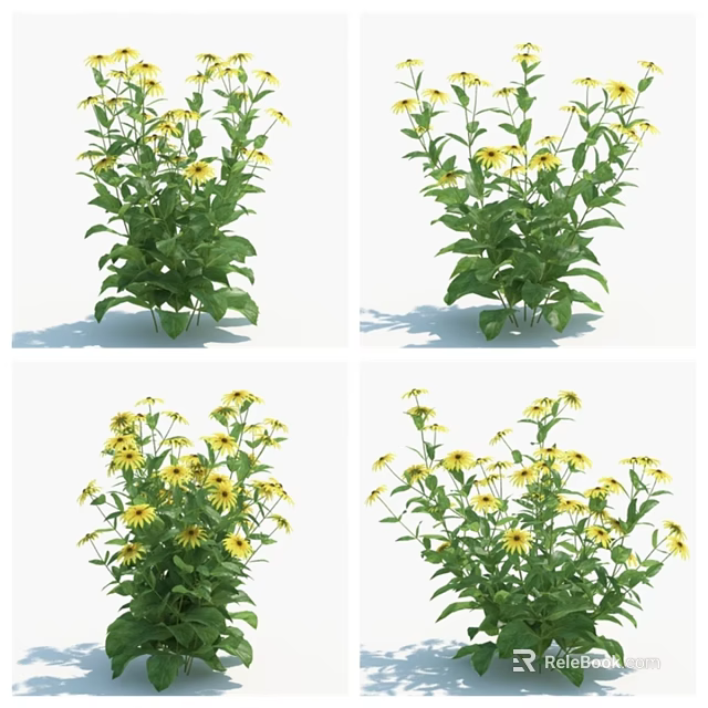 Vibrant Yellow Flowers with Green Leaves in Lush Garden 3d model 