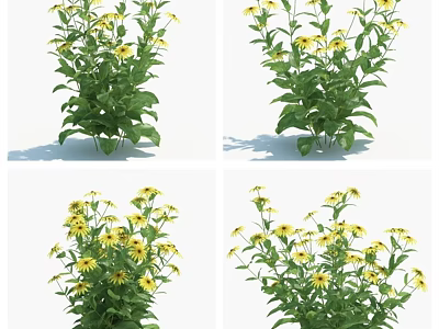 Vibrant Yellow Flowers with Green Leaves in Lush Garden 3d model