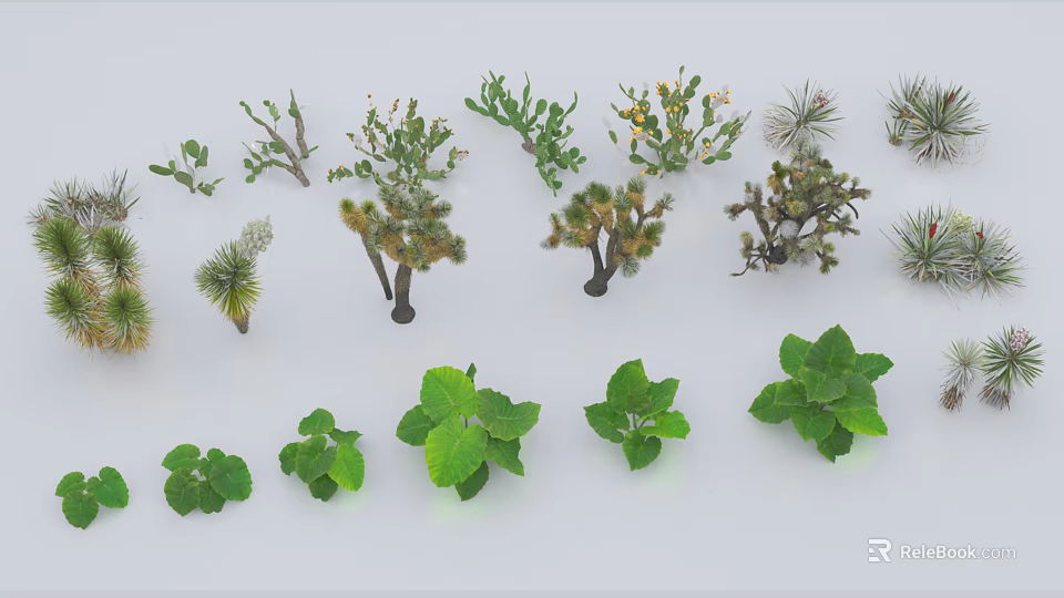 Assorted Green Plants Collection Featuring Cacti and Herbaceous Leaves 3d model 