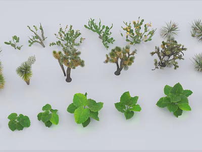 Assorted Green Plants Collection Featuring Cacti and Herbaceous Leaves 3d model