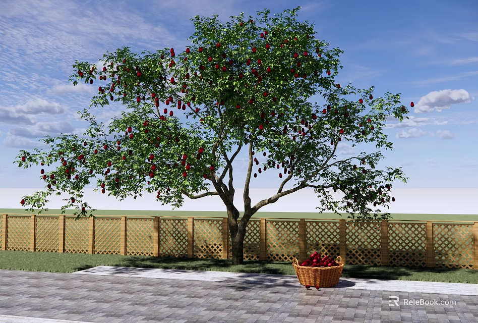 Fruit Bearing Tree With Red Fruits Near Wooden Fence And Basket On Paved Ground 3d model 