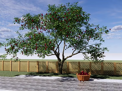 Fruit Bearing Tree With Red Fruits Near Wooden Fence And Basket On Paved Ground 3d model