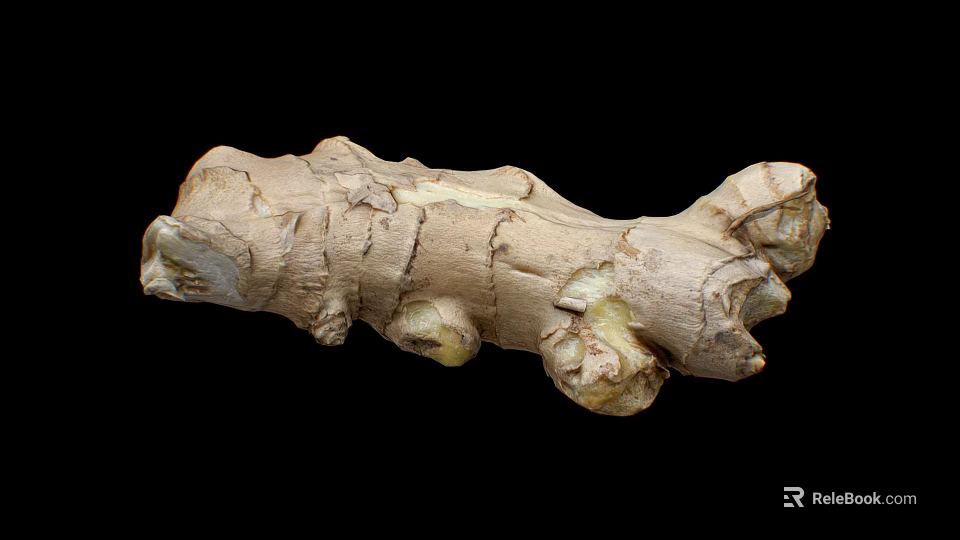 Fresh Raw Ginger Root Natural Organic Vegetable With Rough Skin Texture 3d model 