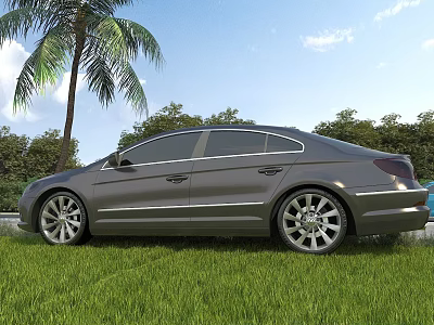 Silver Sedan Car Parked On Green Grass With Palm Tree And Blue Sky 3d model