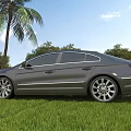 Silver Sedan Car Parked On Green Grass With Palm Tree And Blue Sky