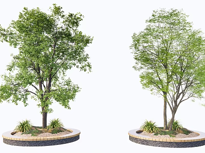 Circular Tree Pit Design With Trees And Small Plants On Brick Edge 3d model