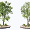 Circular Tree Pit Design With Trees And Small Plants On Brick Edge 3d model