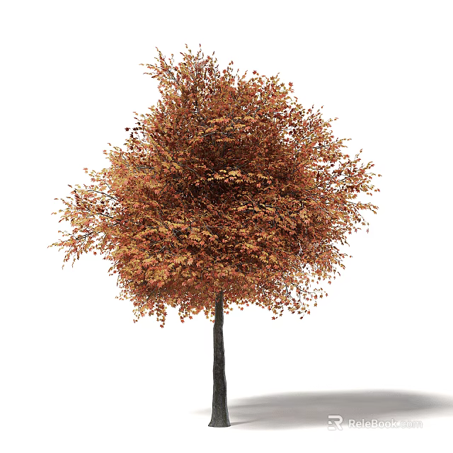 Deciduous Tree With Lush Autumn Orange Yellow Leaves And Tall Straight Trunk 3d model 