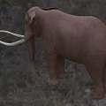 Brown Elephant with Long Tusks Standing on Green Grassland with Vegetation Background