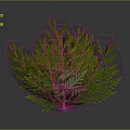 3D Rendered Green Fern Plant Showcasing Lush Feathery Leaves And Vibrant Foliage