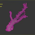 Coral Like Plant with Branched Structure Teal Color Textured Base against Dark Background