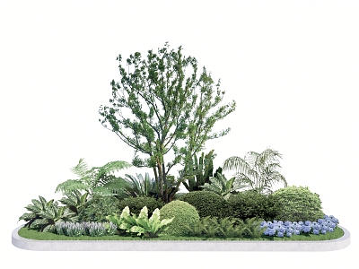 Landscape Arbor Plant Group Plant Flower Border Shrub Ball model