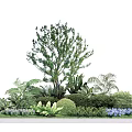 Lush Green Arbor with Ferns Bushes and Blue Flowers in Circular Garden Arrangement