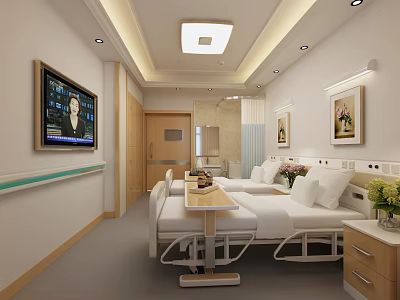 Spacious Hospital Ward With Two Beds TV Bedside Tables Flowers And Ceiling Light 3d model