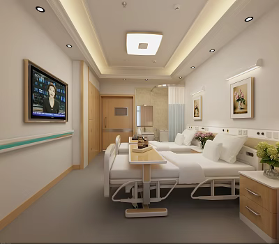 Spacious Hospital Ward With Two Beds TV Bedside Tables Flowers And Ceiling Light 3d model