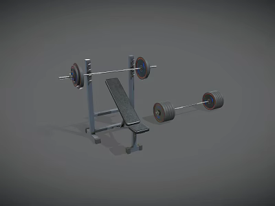 Gym Exercise Equipment Setup With Bench Press Rack And Barbell Weights 3d model