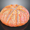 Fresh Golden Orange Round Bread with Cross Pattern and Sesame Seeds
