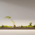 Indoor Landscape With Long Rectangular Container Green Moss Small Palm Tree Cacti And Stones 3d model