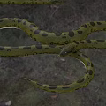 Green Anaconda Green Water Python Cold Blooded Animal 3d model