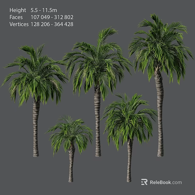 Decorative Palm Tree Ornament Set With Various Sizes And Green Foliage 3d model 