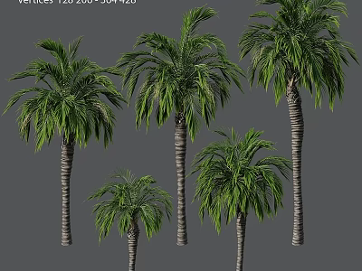 Decorative Palm Tree Ornament Set With Various Sizes And Green Foliage 3d model