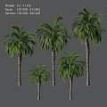 Decorative Palm Tree Ornament Set With Various Sizes And Green Foliage