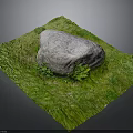 Natural Outdoor Scene With Large Rock On Green Grass And Small Plants