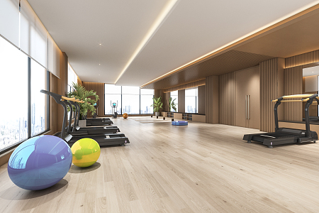 Modern Gym Simple Gym 3d model