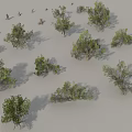 Various Arbor Trees With Different Sizes Shapes And Natural Shadows 3d model