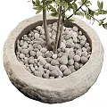 Bonsai Potted Plants With Evergreen Foliage In Stone Pots Of Various Heights For Indoor Decor