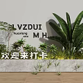 Various Green Potted Plants In Concrete Planter For Indoor Decorative