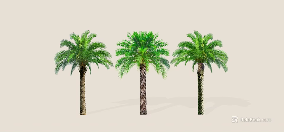 Three Palm Trees With Green Fronds And Textured Trunks For Landscaping 3d model 