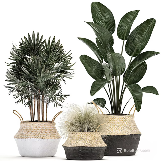 Bonsai Potted Green Plants Various Types Arranged in Woven Baskets 3d model 