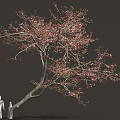 Curved Tree With Red Leaves And White Human Figure In Natural Scene