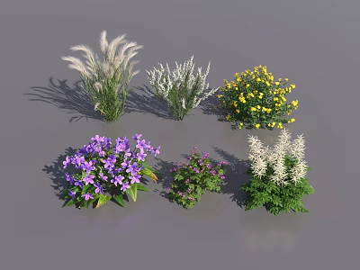 Various Flowers and Plants Featuring White Feathery Grayish Yellow Purple Blooms on Gray Background 3d model