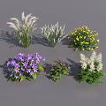 Various Flowers and Plants Featuring White Feathery Grayish Yellow Purple Blooms on Gray Background