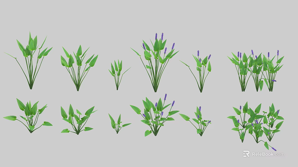 Vibrant Aquatic Plants With Green Leaves Purple Flowers And Various Growth Stages 3d model 