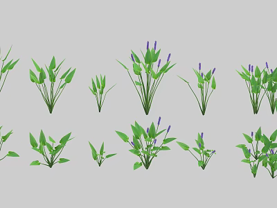 Vibrant Aquatic Plants With Green Leaves Purple Flowers And Various Growth Stages 3d model